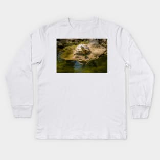 Turtle Enjoying the Sunshine Kids Long Sleeve T-Shirt